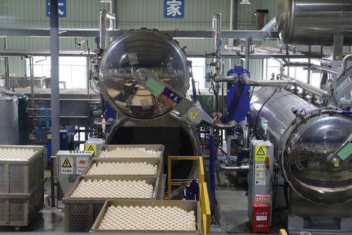 貴州陽光食品公司 電熱加工助力核桃精深加工，小核桃成就大產(chǎn)業(yè)