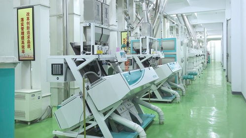 發展農產品精深加工業，促進鄉村產業振興——以電熱食品加工為例