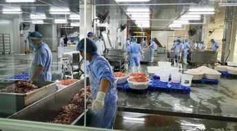 中山市政協農業農村委推動農產品集聚加工與電熱食品加工提案辦理，助推產業提檔升級